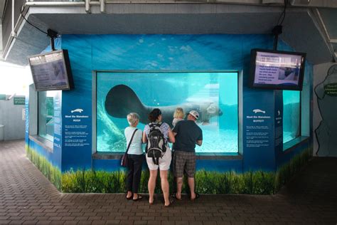 Mote marine aquarium - 1600 Ken Thompson Parkway Sarasota, FL 34236 Ph: (941) 388-4441 Open Every Day: 9:30am - 5pm Visitor Information 